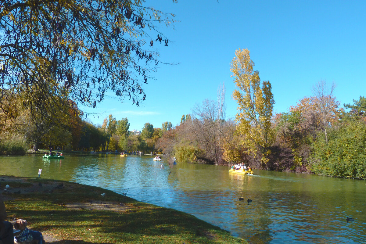 Пейзажи  Гагаринского  парка - Валентин Семчишин