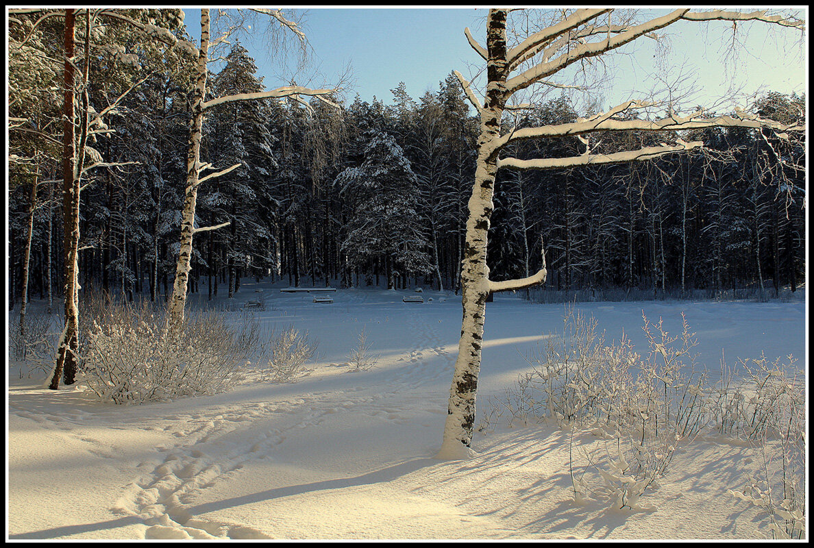 На озере - Aleksandr Gal