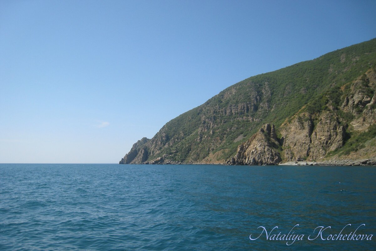 Природа Крыма - Amazing Cosmea