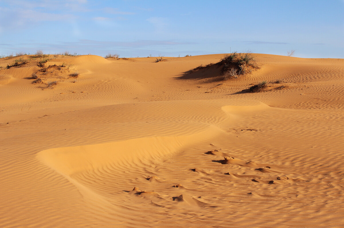 Поющие барханы Калмыкии. - Александр. AVG100 ---