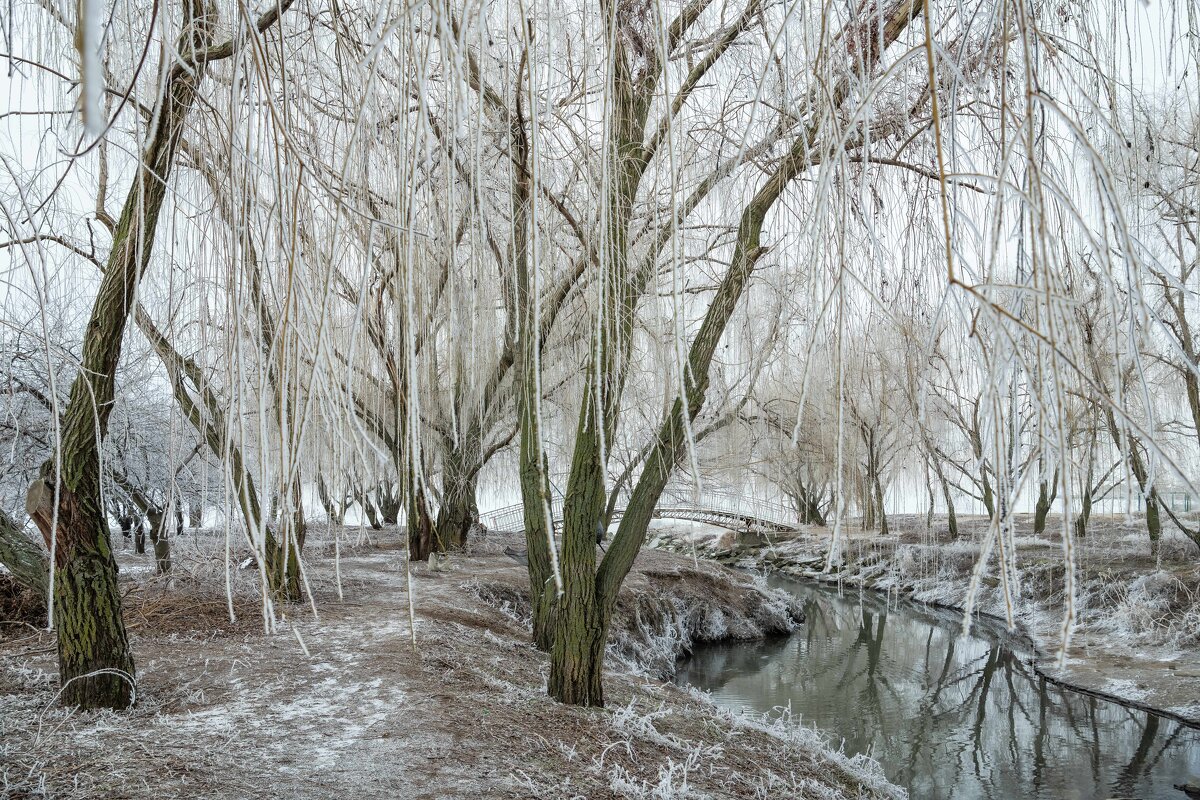 Осевший туман - Константин Бобинский