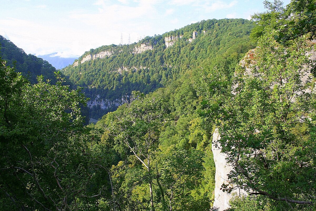 Ахштырское ущелье Сочи - Tata Wolf