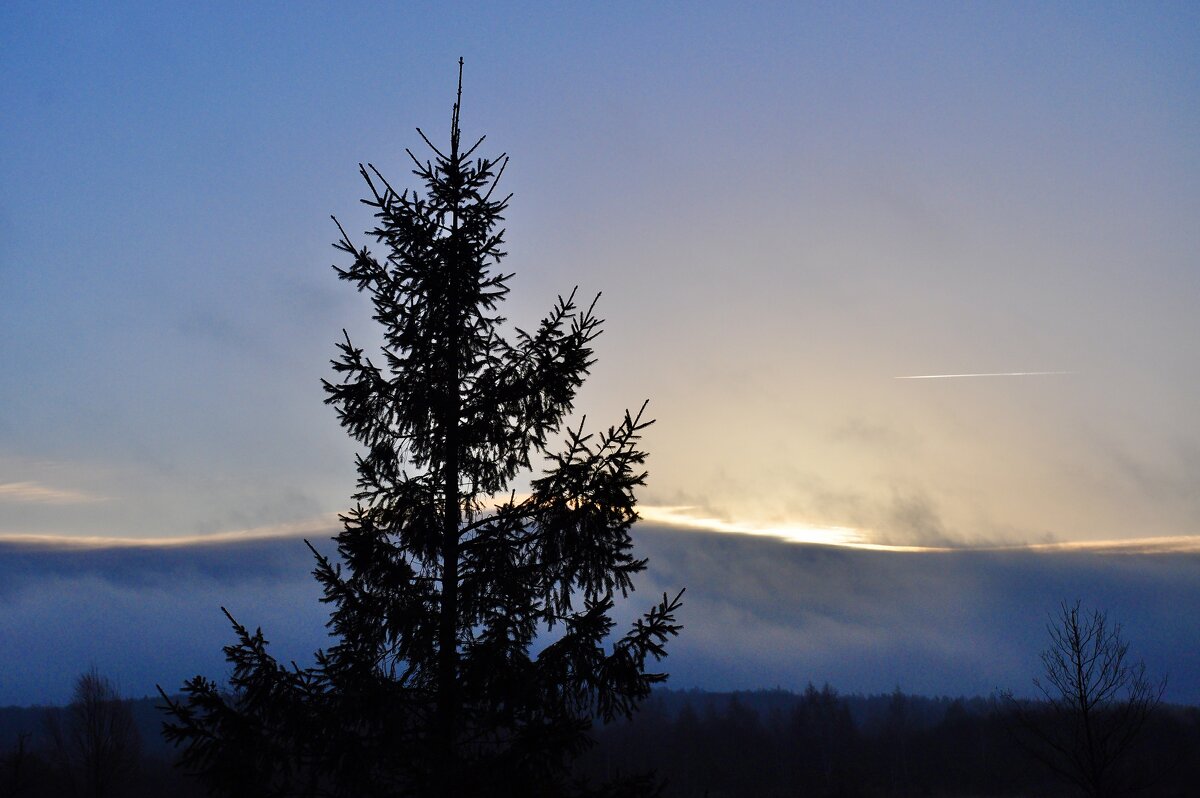 Рассвет Переславль Залесский - Александр Конов