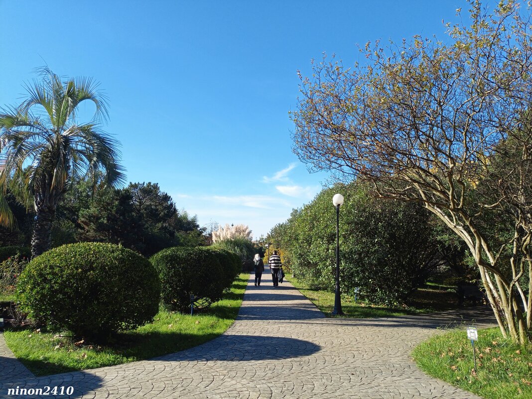 Адлер. Дендропарк "Южные культуры" - Нина Бутко Адлер. Дендропарк "Южные культуры" - Нина Бутко