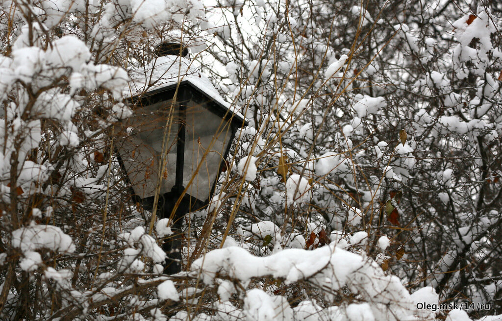 на огонек - Олег Лукьянов на огонек - Олег Лукьянов