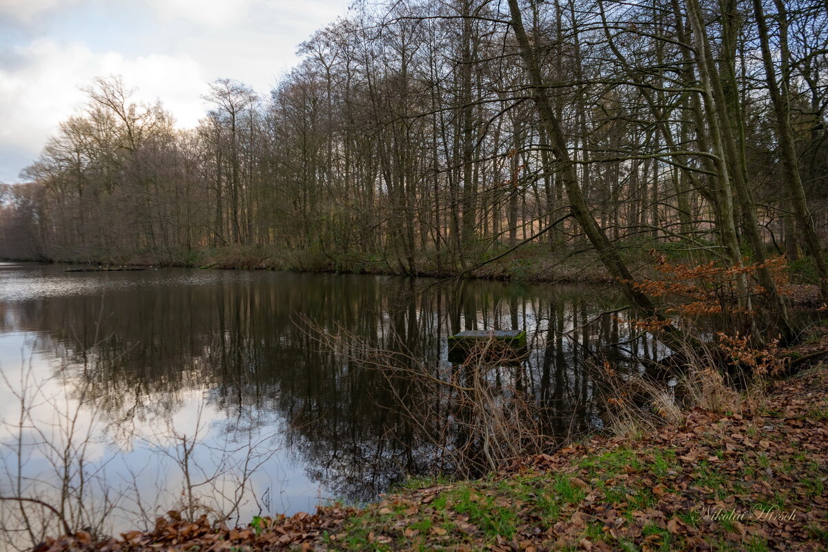 *** - Николай Гирш *** - Николай Гирш