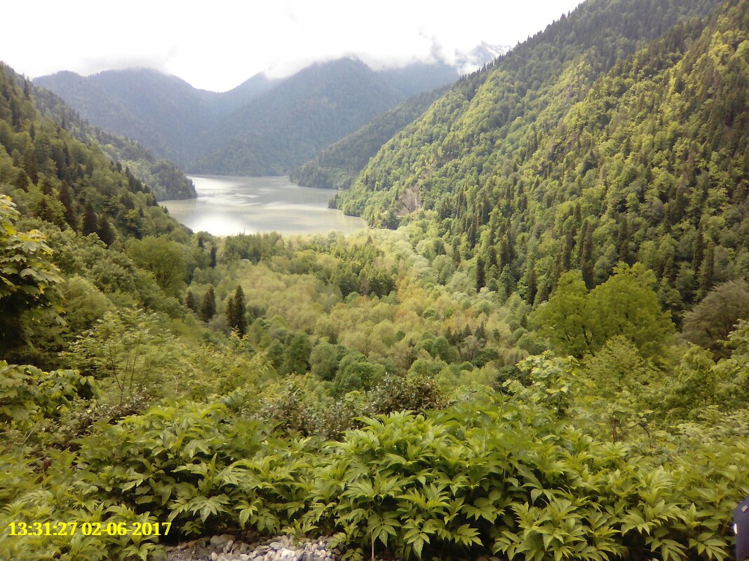 Рица - Serega SchütZ Рица - Serega SchütZ