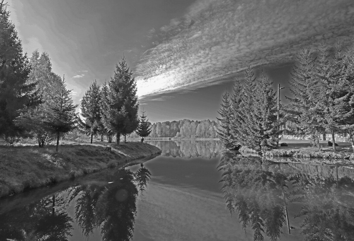 Б/Н - Николай 