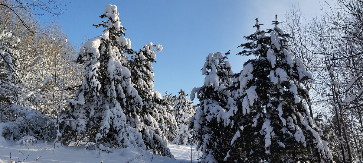 В гостях у сказки!!! - Радмир Арсеньев