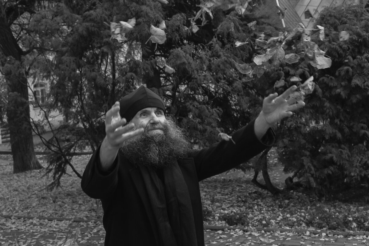 Радости - Наталья Сафронова