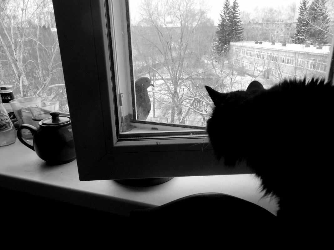 Простите, как ваше имя отчество? - Maria Rainer