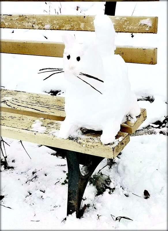 Начало зимы в парке , Снежный котик - Сергей 