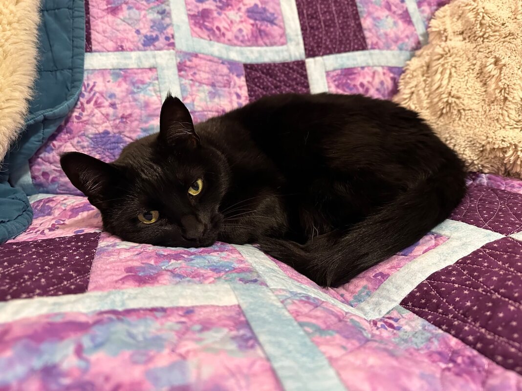 ..... - Murat Bukaev 