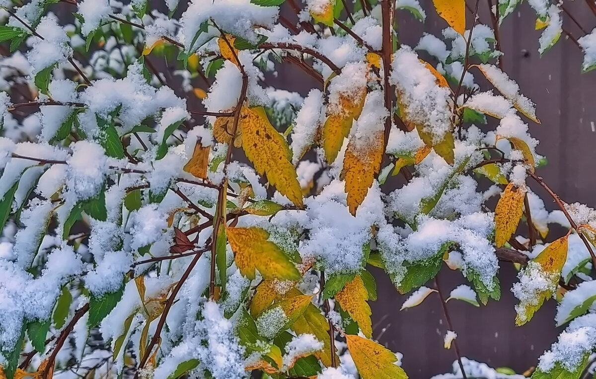 Встреча осени с зимой - Андрей K.