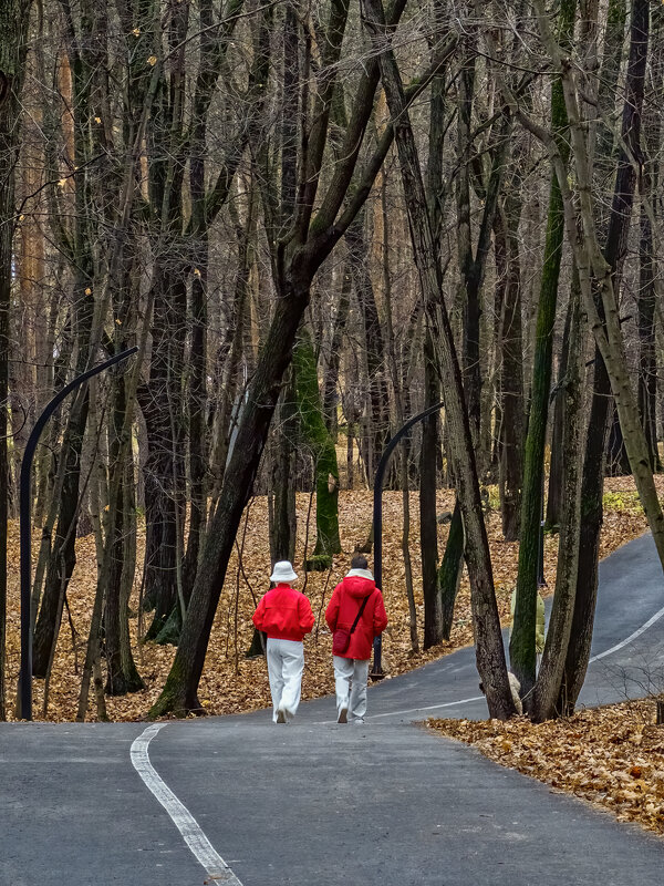 Осень... - Сергей Шатохин 