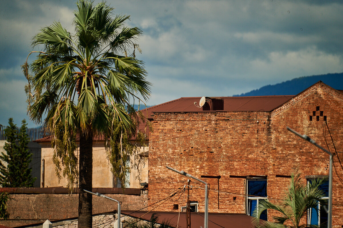 Абхазия - Александр Леонов