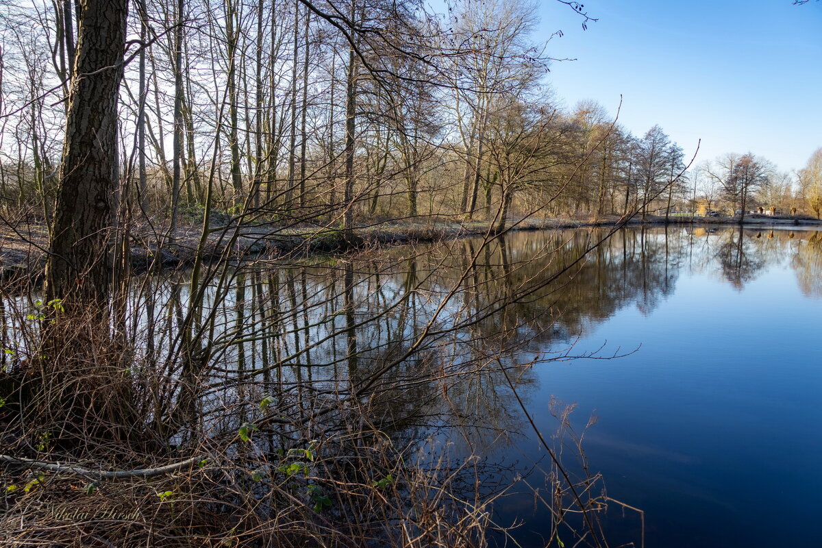 *** - Николай Гирш