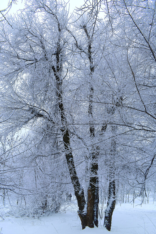 Как поработала зима! - Nina Streapan