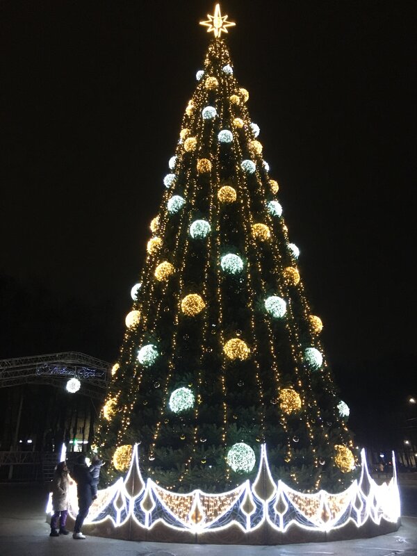 Великие Луки. Ёлка 2025-2026... - Владимир Павлов