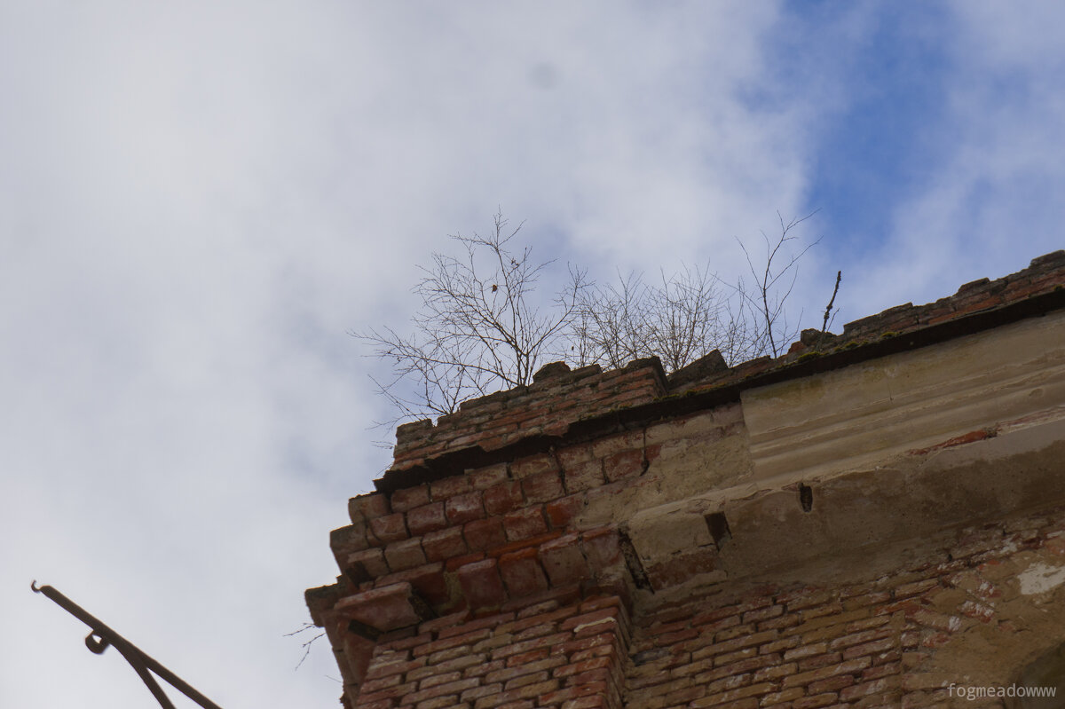 без названия - fogmeadowww m