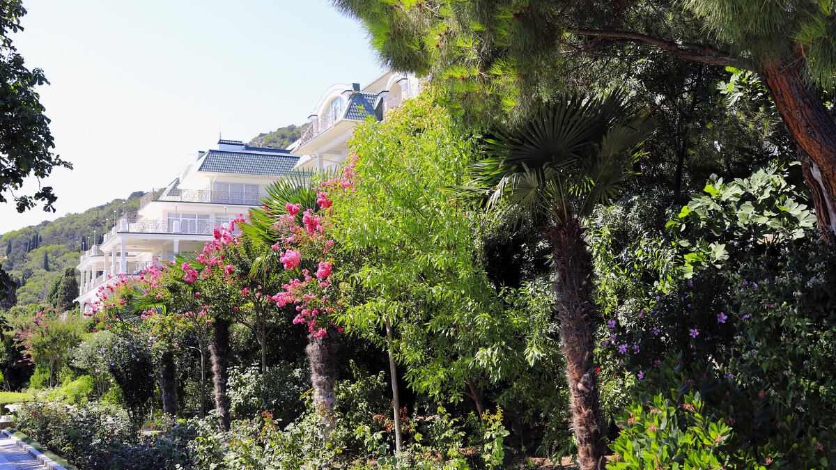 Палитра крымских парков - Леонид 