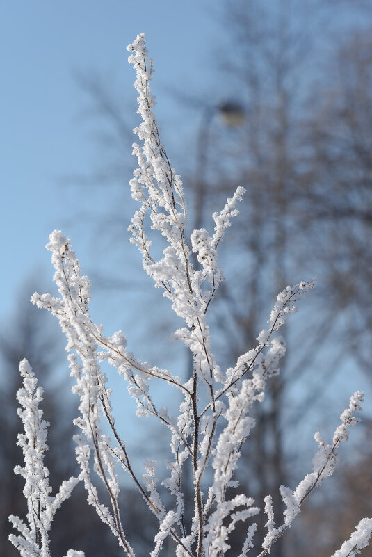 *** - Виктор Иванович Чернюк