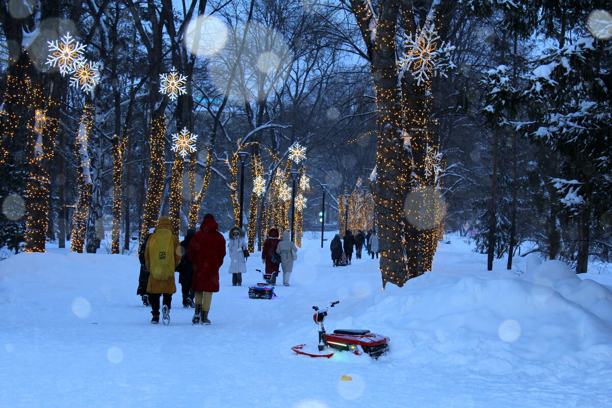 Первомайский сквер . Снегопад - Татьяна Лютаева