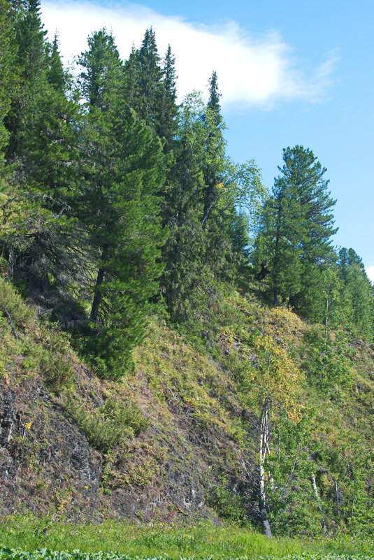 На склоне. - ВикТор Быстров