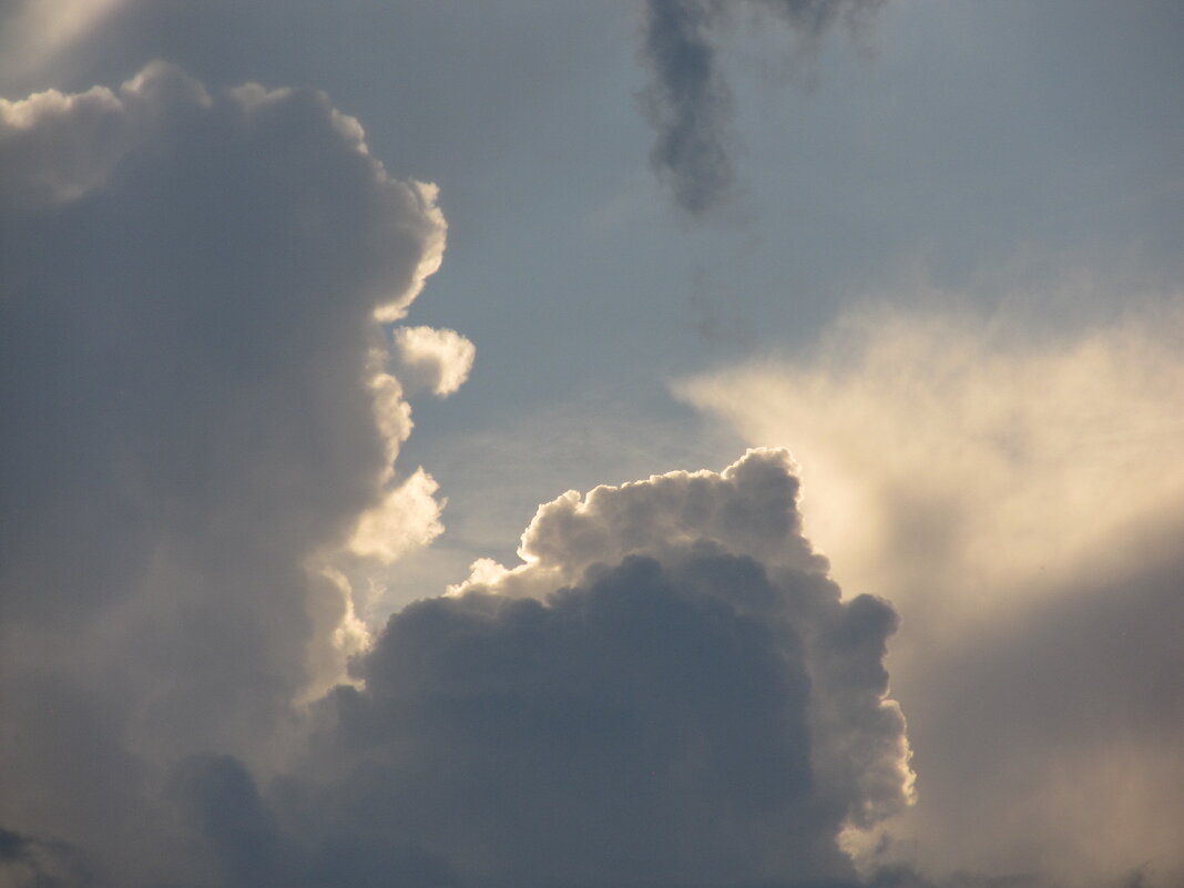 медведица и медвежонок - Елена Шаламова