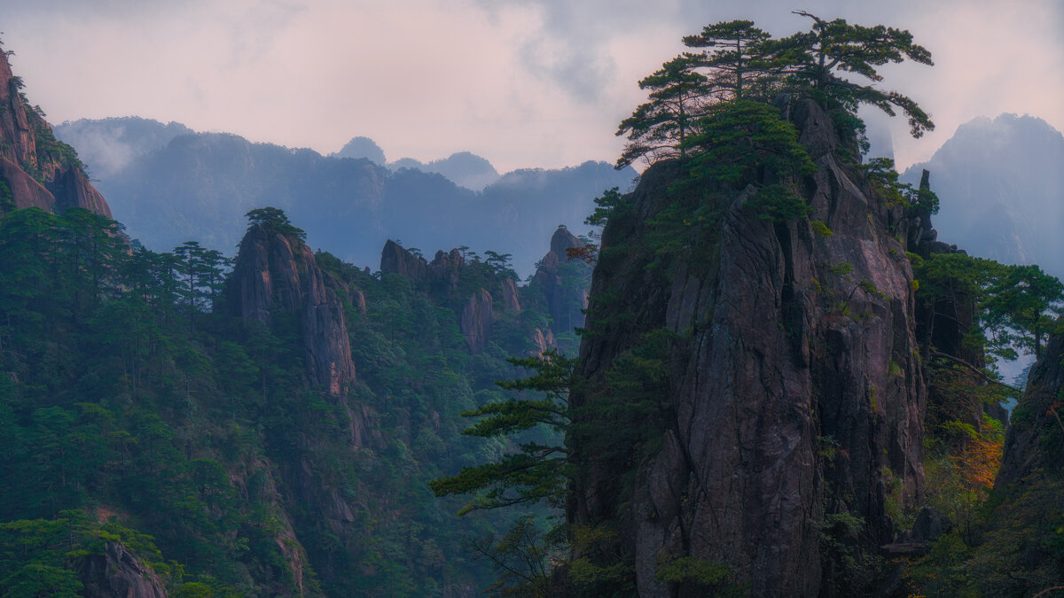 Сосны - svabboy photo