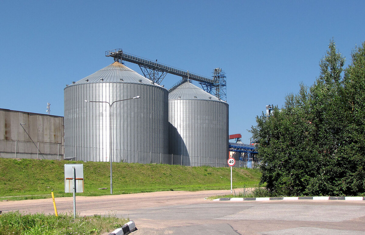 Выборгский целлюлозно-бумажный комбинат - Александр Ильчевский 