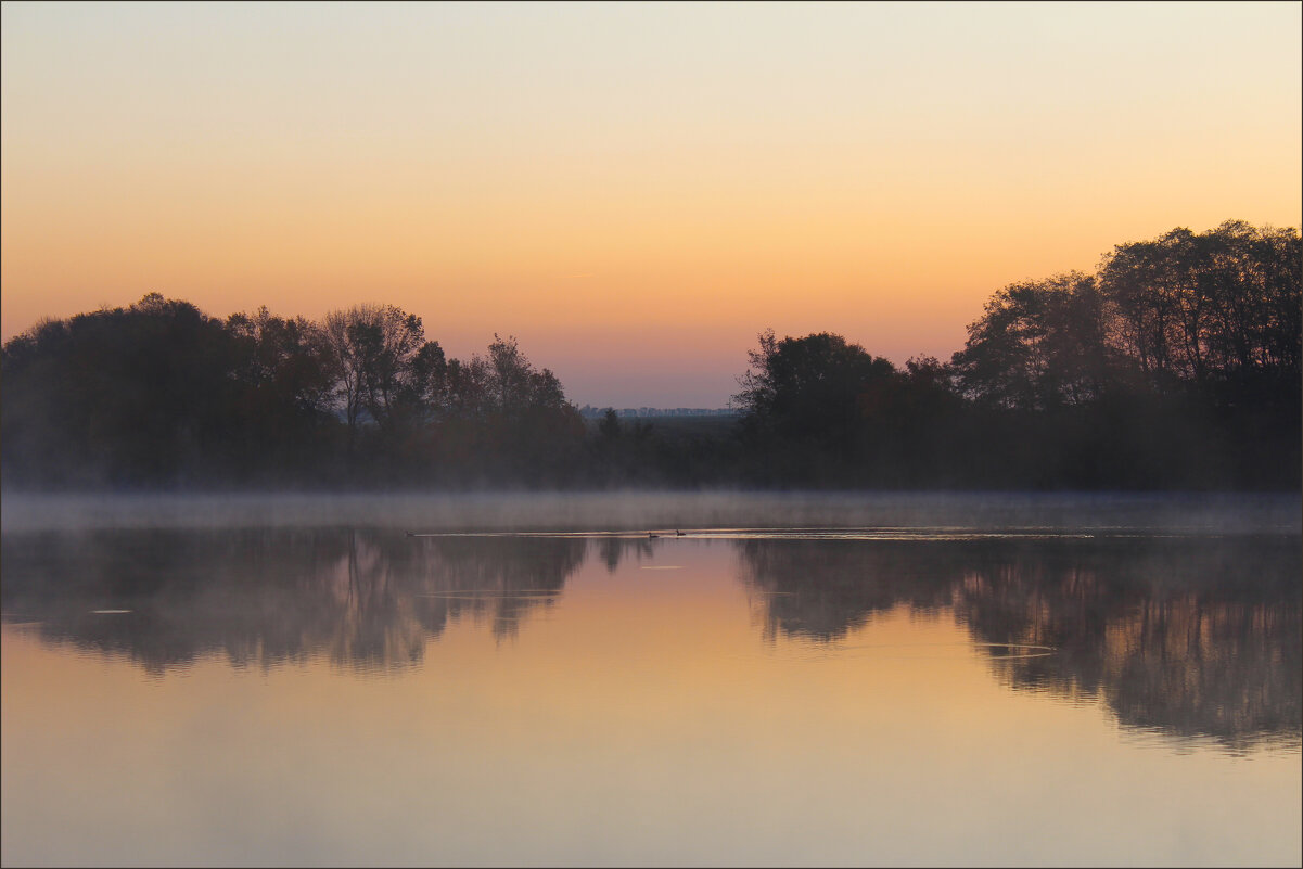 Утро. - Александр. AVG100 --- Утро. - Александр. AVG100 ---