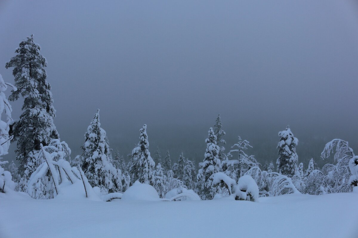 Зима в Пухатунтури - Ольга 