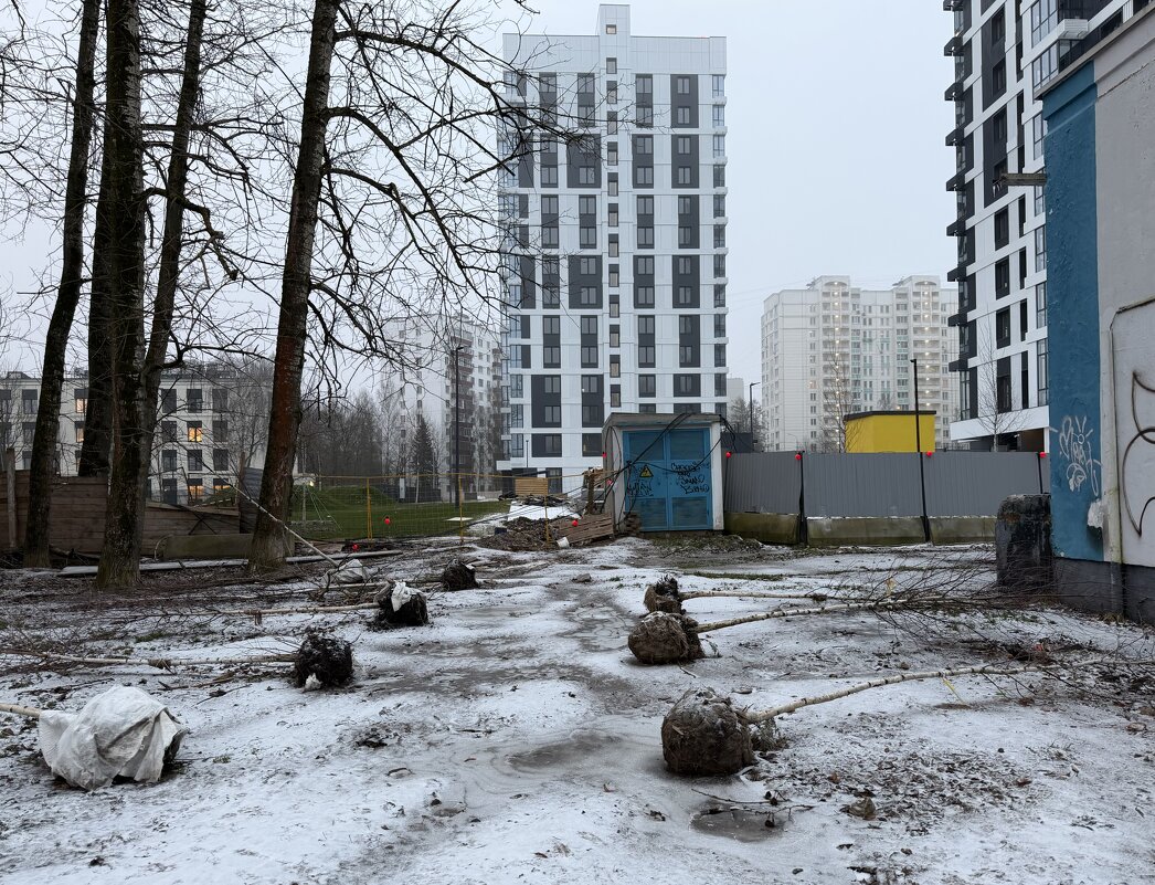 Загубили деревца((. - Любовь 