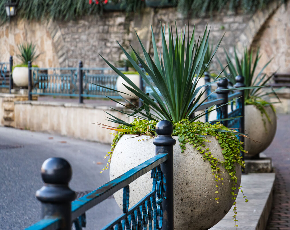 Кисловодск - navalon M