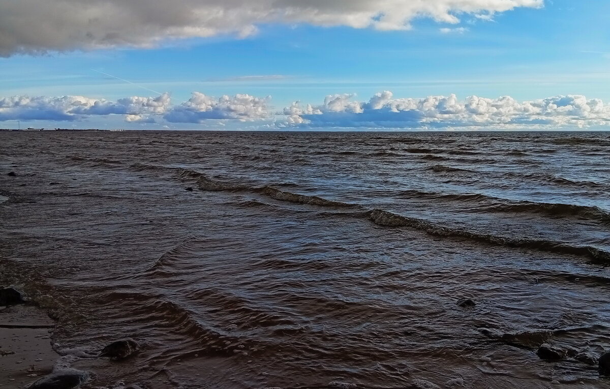 Свежий день ..с ветерком .. - Татьян@ Ивановна