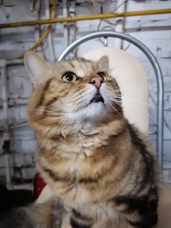 *** - Зоя Мишина