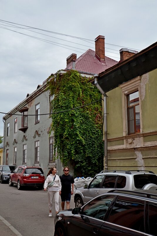 ВЫБОРГ. - Виктор Осипчук