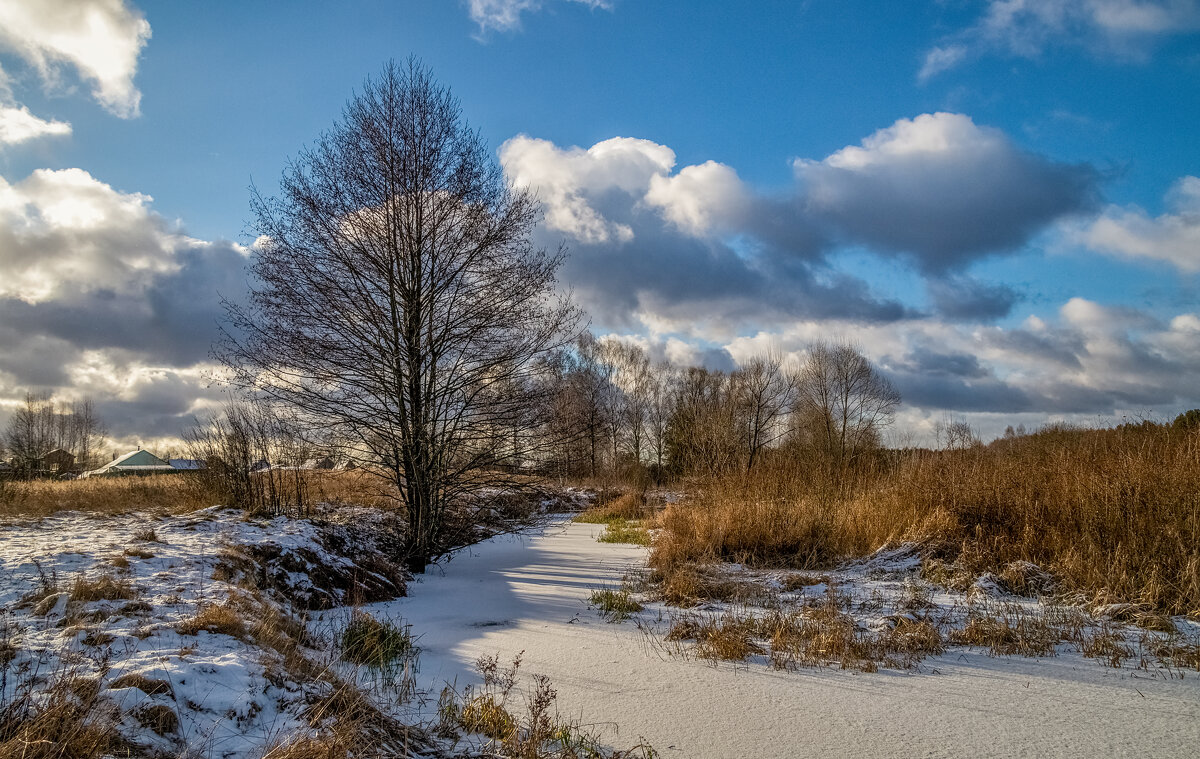 Подмосковный Декабрь 10 - Андрей Дворников