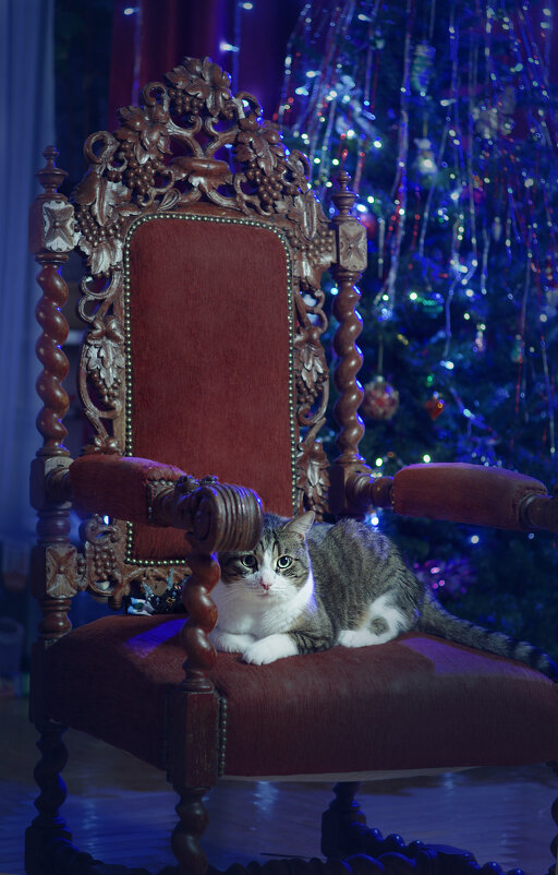 ... - ВЛАДИМИР 