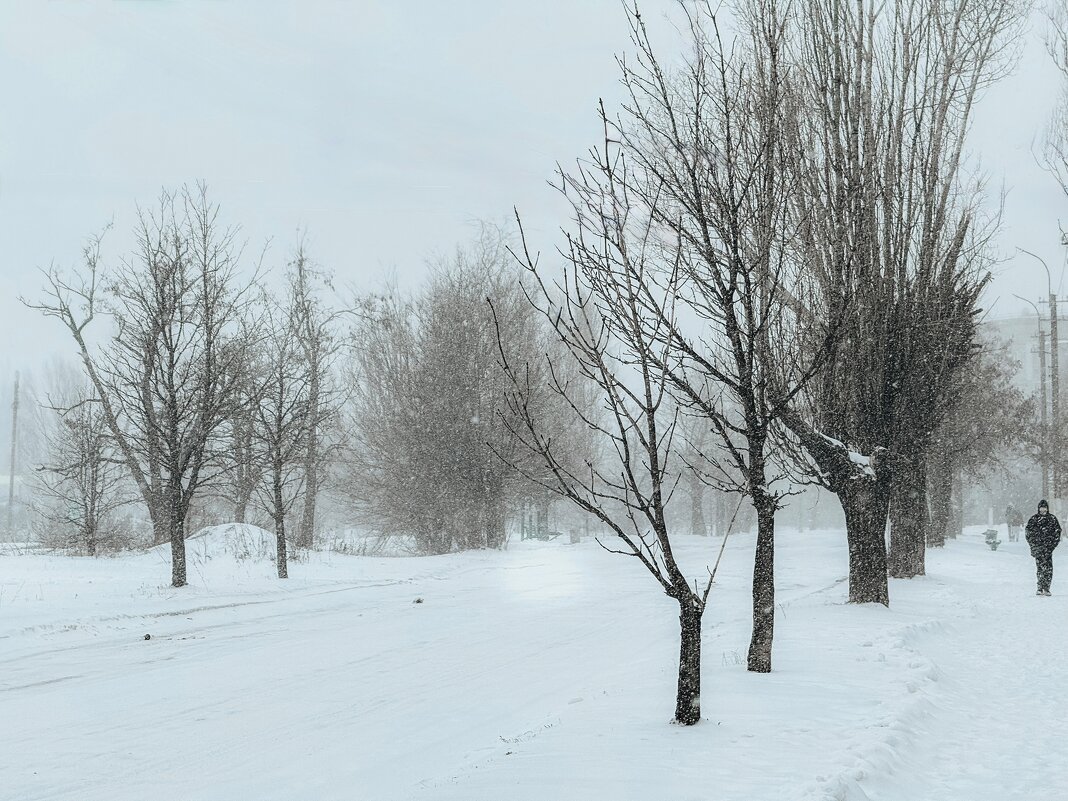*** - Яна Горбунова