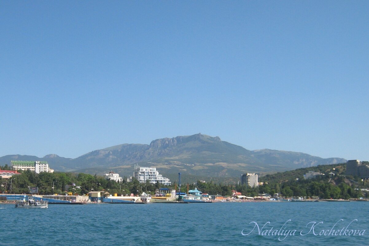 Природа Крыма - Amazing Cosmea