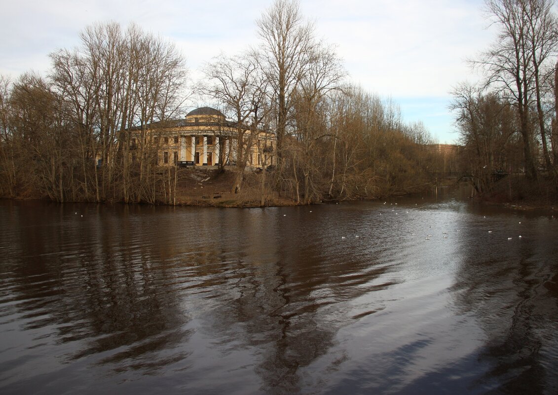 Весна 2025. Апрель - Наталья Герасимова