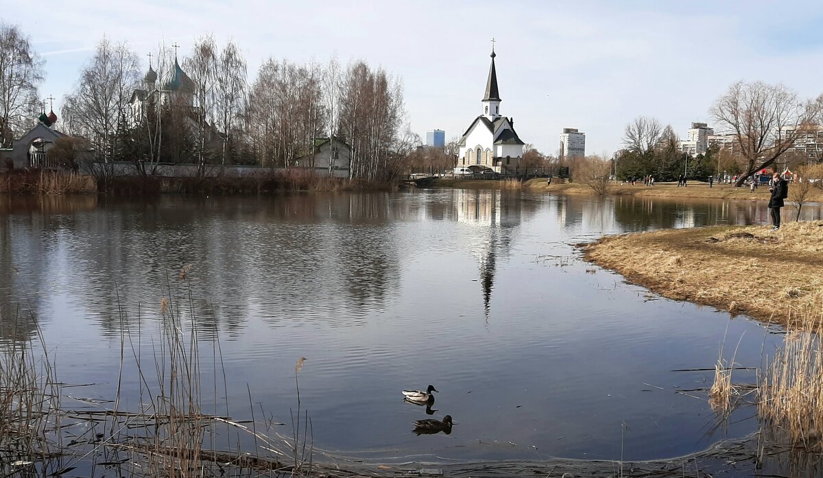 Весна 2025. Апрель - Наталья Герасимова