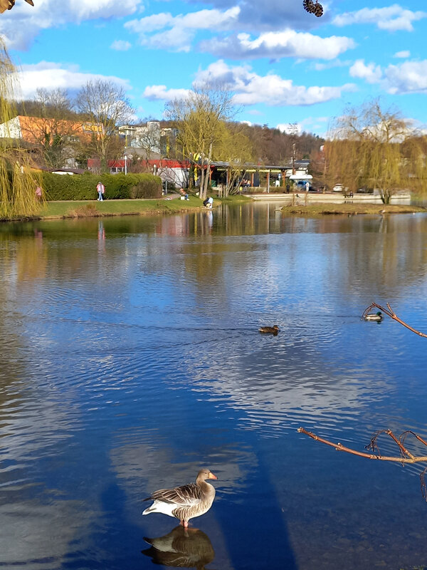 Уточка луговая... - Сергей Порфирьев