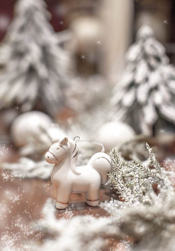 Белым снегом... В мечтах о нем! - Bosanat 