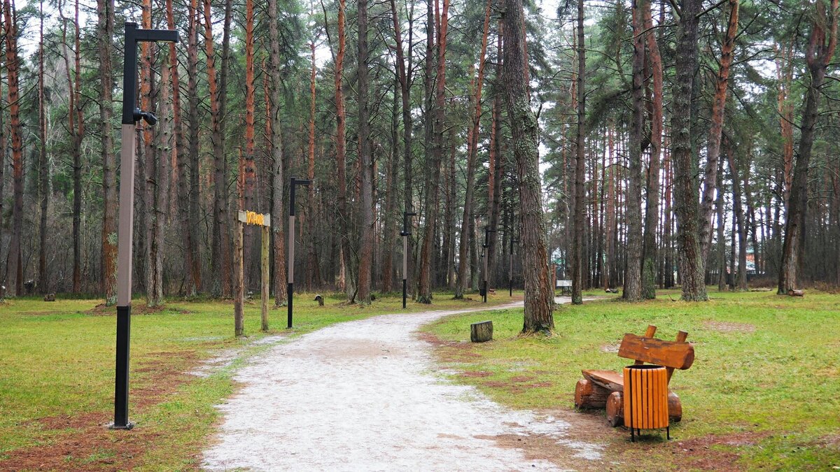 Природа Смоленщины за 10 дней до Нового года. - Милешкин Владимир Алексеевич 