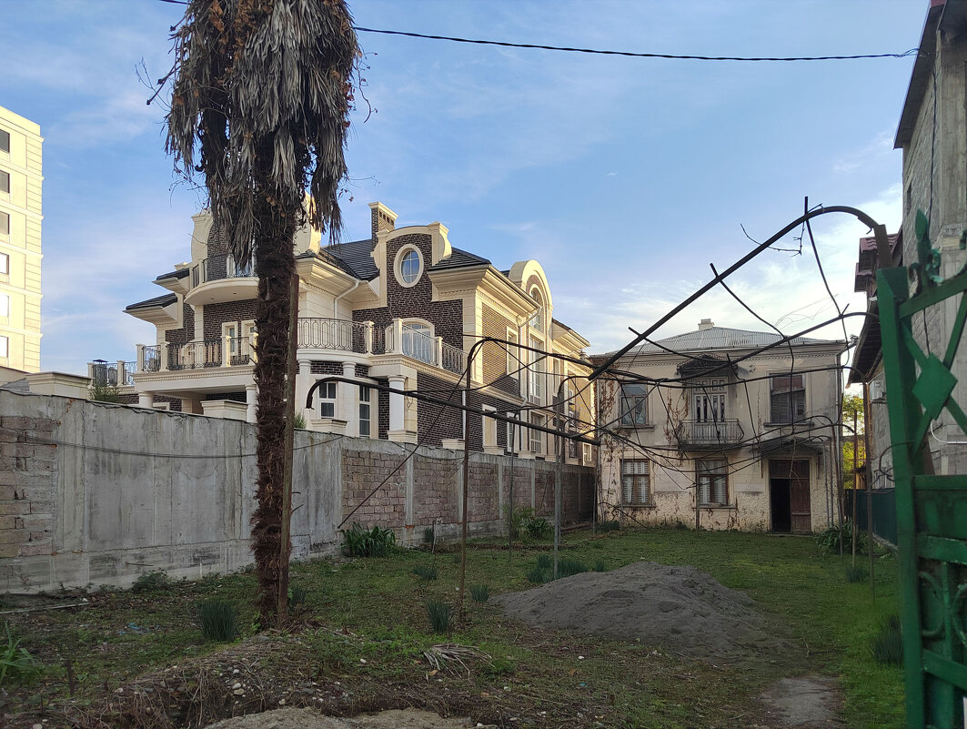 Сухум, заброшенный участок и завядшая пальма - Фотогруппа Весна Сухум, заброшенный участок и завядшая пальма - Фотогруппа Весна