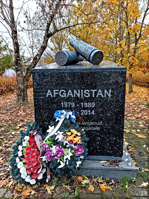 Память - Veera V