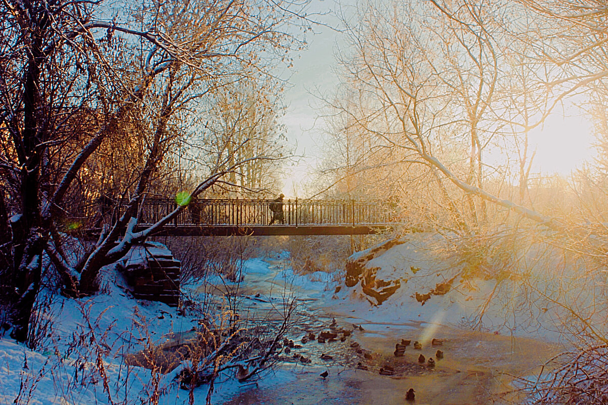 Зимний день - Сергей Кочнев